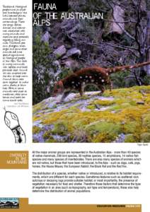 The Australian Alps Education Kit -  Fauna and the Australian Alps factsheet