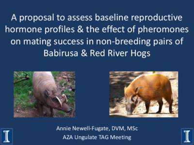 A proposal to assess baseline reproductive hormone profiles & the effect of pheromones on mating success in non-breeding pairs of Babirusa & Red River Hogs  Annie Newell-Fugate, DVM, MSc