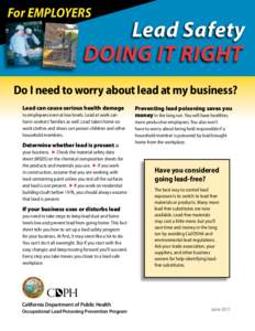 For EMPLOYERS  Lead Safety DOING IT RIGHT  Do I need to worry about lead at my business?