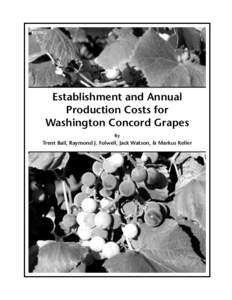 EB1965  Establishment and Annual Production Costs for Washington Concord Grapes By