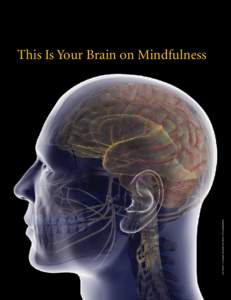 This Is Your Brain on Mindfulness  3D4 ME D ICA L . CO M/ SC IE N CE PHO TO LI B RA RY Meditators say their practice fundamentally changes the way they experience life. Michael Baime reports on how modern neuroscience i