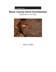 Bexar County Karst Invertebrates Draft Recovery Plan March 2008  Bexar County Karst Invertebrates Draft Recovery Plan
