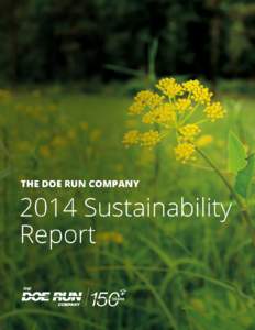 2014 Doe Run Sustainability Report sustainability2014.doerun.com / Business Highlights 250,000 Southeast Missouri Mining and Milling Division produces approximately 250,000 tons of lead concentrates