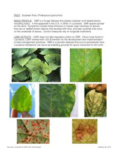PEST: Soybean Rust (Phakopsora pachyrhizi) BASIC PROFILE: SBR is a fungal disease that attacks soybean and related plants, including kudzu. It first appeared in the U.S. in 2004, in Louisiana. SBR spores spread on the wi
