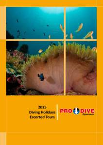 2015 Diving Holidays Escorted Tours Events Calander www.prodive.com
