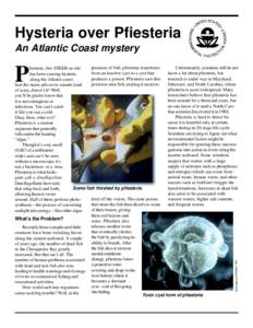 Hysteria over Pfiesteria An Atlantic Coast mystery P  Burkholder and Glasgow, 1997.