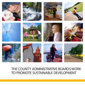THE COUNTY ADMINISTRATIVE BOARDS WORK TO PROMOTE SUSTAINABLE DEVELOPMENT Contents The County Administrative Board – close to you 4 | What we do 7 | Protecting the environment 8 Nature conservation and management 10 | 