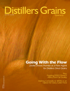Distillers Grains 2007 FIRST QUARTER Quarterly  Going With the Flow