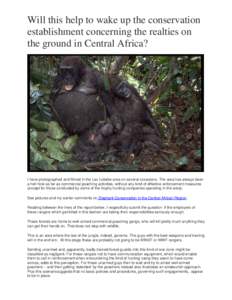 Will this help to wake up the conservation establishment concerning the realties on the ground in Central Africa