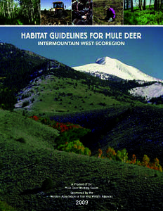 THE AUTHORS: MIKE COX DARYL W. LUTZ  NEVADA DEPARTMENT OF WILDLIFE