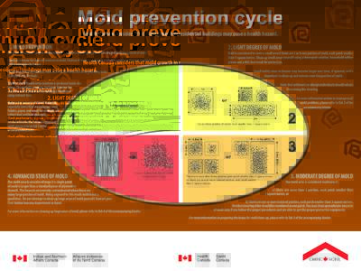 Mold prevention cycle Health Canada considers that mold growth in residential buildings may pose a health hazard. 1. MOLD PREVENTION  2. LIGHT DEGREE OF MOLD