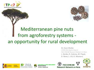 Mediterranean pine nuts from agroforestry systems an opportunity for rural development Dr. Sven Mutke CIFOR-INIA Madrid (Spain) FAO-CIHEAM Research Network on Nuts