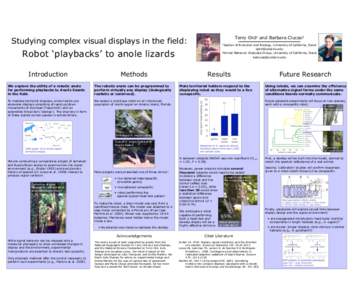 Terry Ord1 and Barbara Clucas2  Studying complex visual displays in the field: 1Section