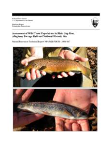 National Park Service  U.S. Department of the Interior  Northeast Region  Philadelphia, Pennsylvania   Assessment of Wild Trout Populations in Blair Gap Run, 