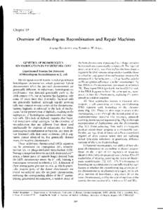 Molecular genetics / DNA replication / Cellular processes / Homologous recombination / Chi site / RecBCD / Genetic recombination / D-loop / RecA / Biology / Genetics / DNA repair