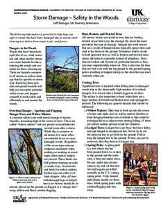 FORFSStorm Damage – Safety in the Woods Jeff Stringer, UK Forestry Extension  The following information is provided to help keep you