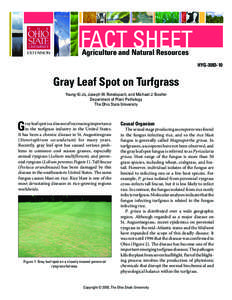 Gray Leaf Spot on Turfgrass