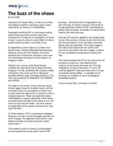 The buzz of the chase 30 July 2008 Scientists from Queen Mary, University of London are helping to perfect a technique used to catch serial killers, by testing it on bumblebees. Geographic profiling (GP) is a technique u