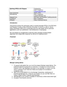 Splitting hPSCs with Dispase  Date Submitted Submitted by Adapted from Contributor