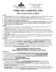 FEBRUARY GARDENING TIPS This is a Great Time to Plant! PLANT:  Trees and shrubs so they will be established by summer. Avoid planting cold-tender plants such as: gardenia, oleander, and non-cold hardy palms. Transplan