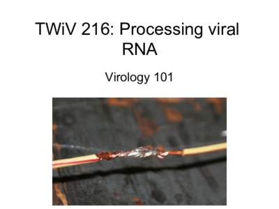 TWiV 216: Processing viral RNA Virology 101 4