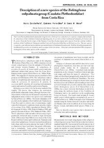 Costa Rica / B. robusta / Talamanca / Americas / Political geography / Earth / Bolitoglossa / Cerros de Escazú / B. gracilis