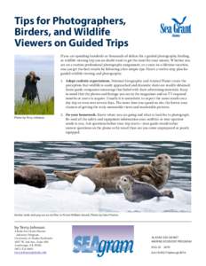 Tips for Photographers, Birders, and Wildlife Viewers on Guided Trips If you are spending hundreds or thousands of dollars for a guided photography, birding, or wildlife viewing trip you no doubt want to get the most for