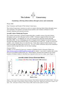 The Lobster  Conservancy Sustaining a thriving lobster fishery through science and community Winter 2008