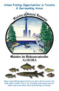 Urban Fishing Opportunities in Toronto & Surrounding Areas Many urban fishing opportunities are just a short bicycle ride, walk, public transit ride or car trip away from where you live. Come experience what world class 