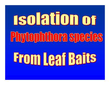 2007 Survey Training- Bait Isolation