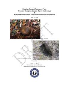 Microsoft Word - Riparian Rodent Recovery Plan_PublicDraft.doc