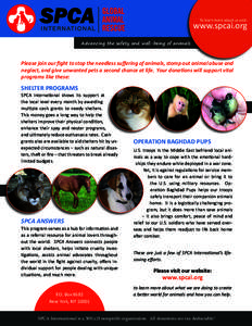 To learn more about us visit:  www.spcai.org Advancing the safety and well-being of animals  Please join our fight to stop the needless suffering of animals, stomp out animal abuse and