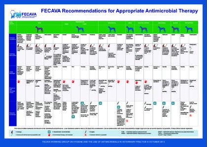 FECAVA Recommendations for Appropriate Antimicrobial Therapy Body system RESPIRATORY