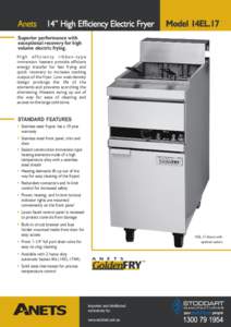 Anets  14” High Efficiency Electric Fryer Model 14EL.17