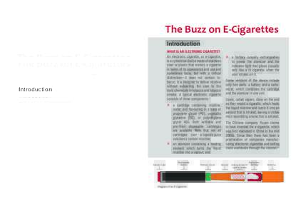 References 1 “Electronic Cigarettes, Will They Be Merely Another Smoke Screen?” http://www.cheapestelectriccigarettes.com. Wikipedia: “Electronic cigarette.” 2 Wikipedia. “Ruyan.” 3 Health Canada, “Advisory