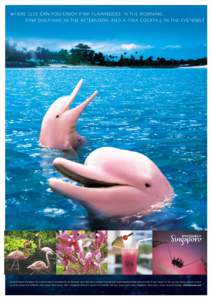 WHERE ELSE CAN YOU ENJOY PINK FLAMINGOES IN THE MORNING, PINK DOLPHINS IN THE AFTERNOON AND A PINK COCKTAIL IN THE EVENING? It could only be Singapore. For a perfect day, try breakfast by the Flamingo Lake, then take a w