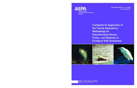 Framework for Application of the Toxicity Equivalence Methodology for Polychlorinated Dioxins, Furans, and Biphenyls in Ecological Risk Assessment