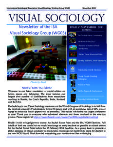 Microsoft Word - Vis Soc Newsletter Nov 2013final.docx