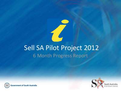 Sell SA Pilot Project[removed]Month Progress Report Action Plan Action