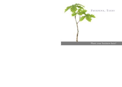 Pasadena, Texas at a glance Area: Approximately 44.5 square miles Population[removed]estimate): 153,151 Total households[removed]estimate): 50,130 Average household income[removed]estimate): $54,827 Capital improvement project