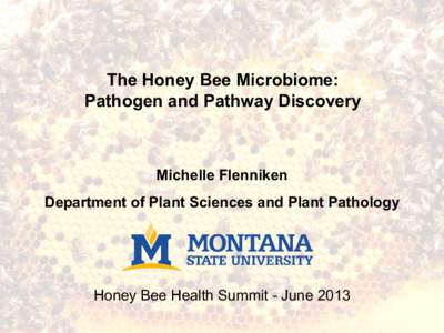 The Honey Bee Microbiome: Pathogen and Pathway Discovery Michelle Flenniken Department of Plant Sciences and Plant Pathology