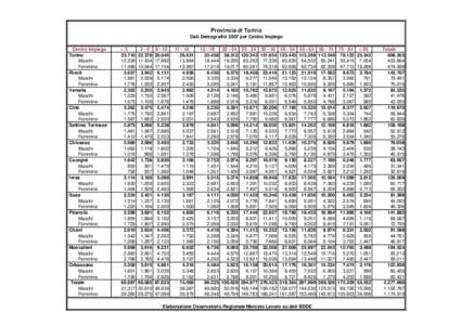 Provincia di Torino Dati Demografici 2007 per Centro Impiego Centro Impiego Torino Maschi Femmine