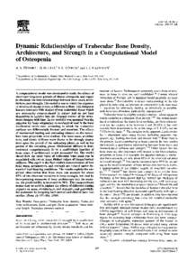 Bone Vol. 18, No, 2 February 1996:ELSEVIER  Dynamic Relationships of Trabecular Bone Density,