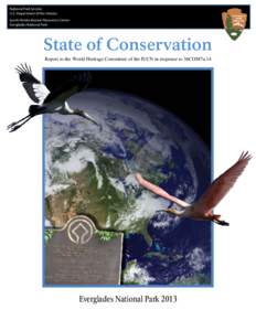 Microsoft Word[removed]EVER State of Conservation Report Final Deliverable to OIA.docx