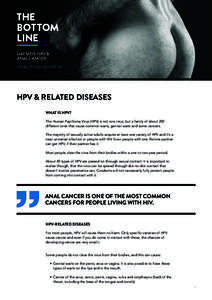 GAY MEN, HPV & ANAL CANCER THEBOTTOMLINE.ORG.AU HPV & RELATED DISEASES WHAT IS HPV?
