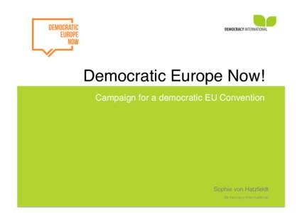 Democratic Europe Now!! Campaign for a democratic EU Convention! Sophie von Hatzfeldt! 3/3/14	
  