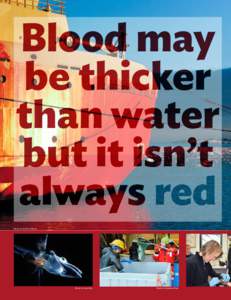 Blood may be thicker than water but it isn’t always red Photo by Kristin O’Brien.