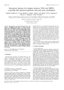 FEBS[removed]FEBS Letters[removed]^136 Interaction between two adapter proteins, PAG and EBP50: a possible link between membrane rafts and actin cytoskeleton