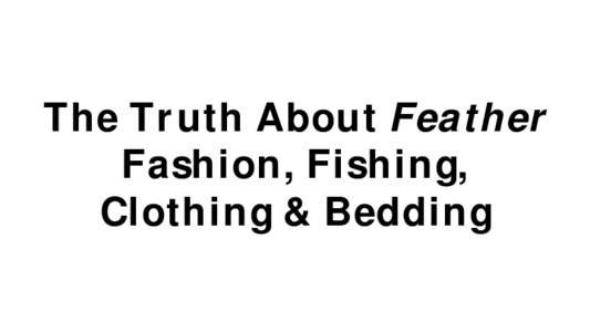The Truth About Feather Fashion, Fishing, Clothing & Bedding A Presentation by Karen Davis, PhD President of United Poultry Concerns