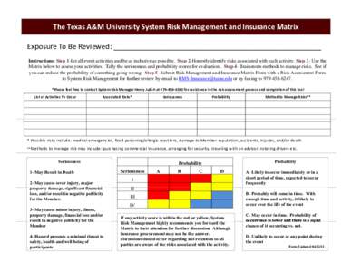 Microsoft PowerPoint - System Risk Assessment Matrix (2).pptx